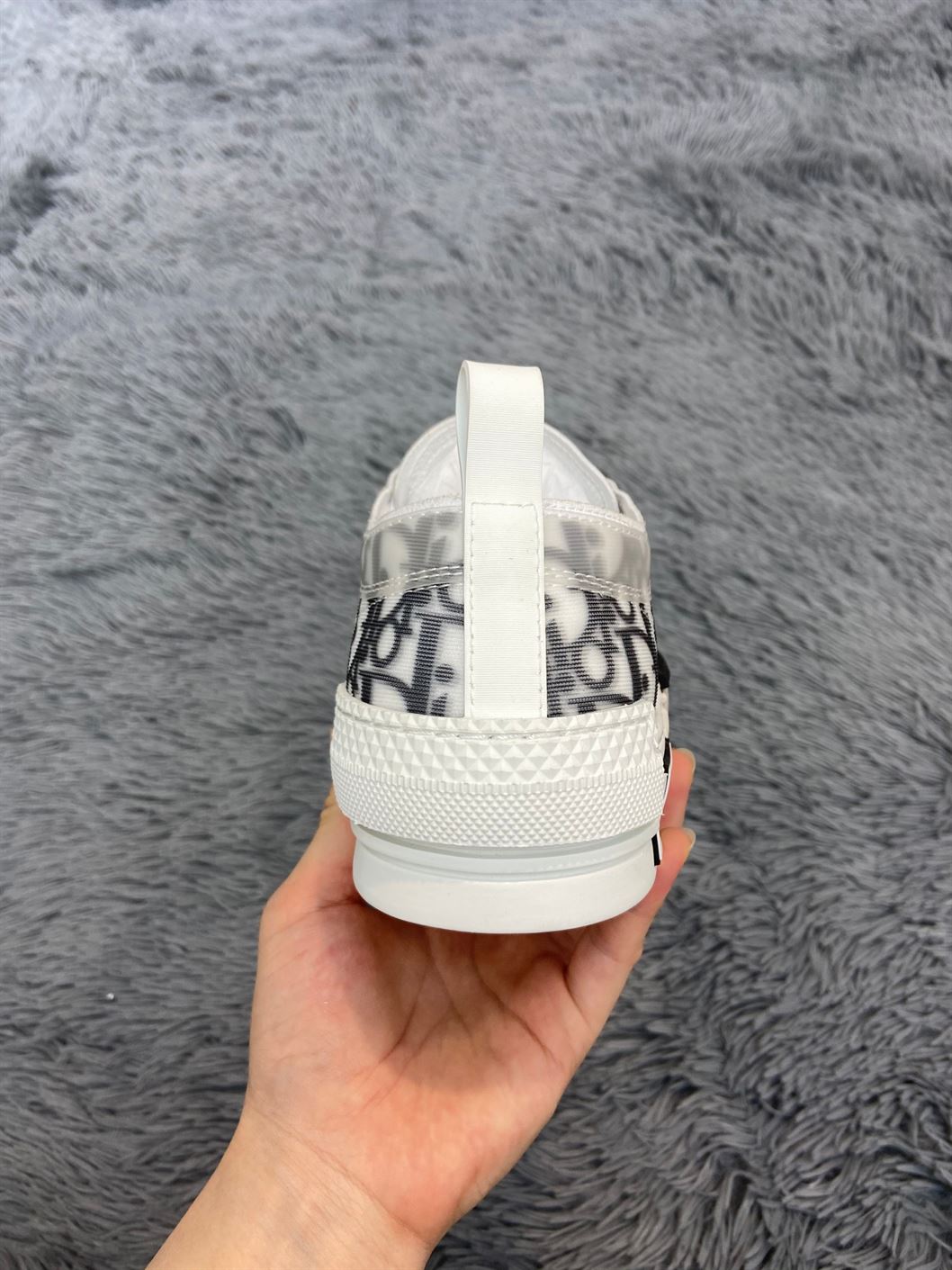 B23 LOW-TOP SNEAKER D10r OBLIQUE CANVAS   DO060