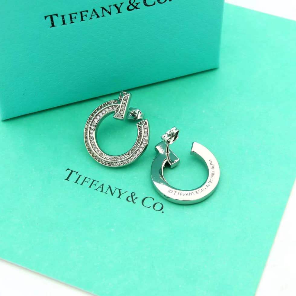 Luxury T*f*ny Classic AAA+ Earring