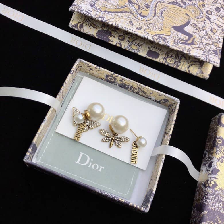 Fake Chr1st1an D10r Logo Earring