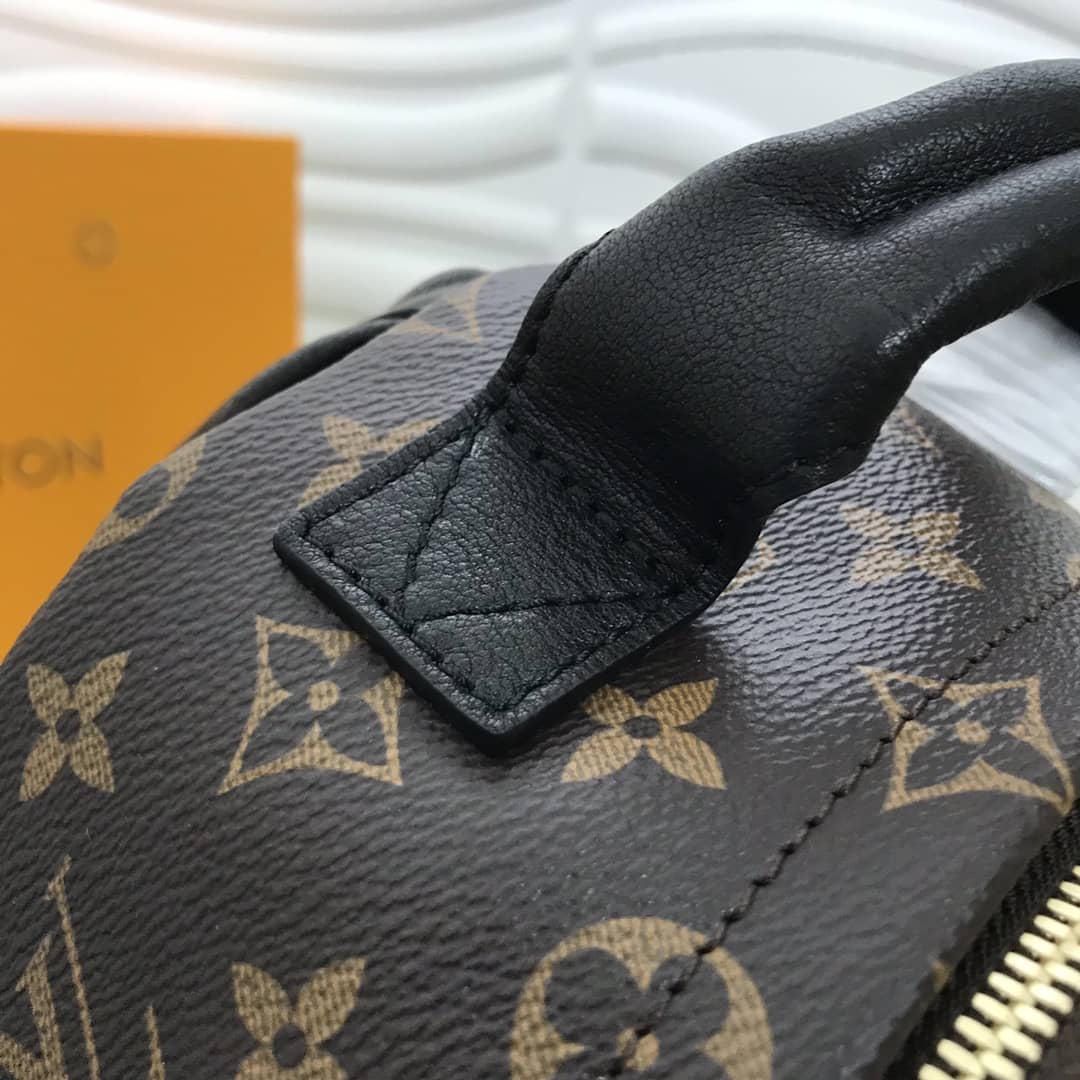 LV Backpack Replica Palm Springs PM Monogram Reverse M44870