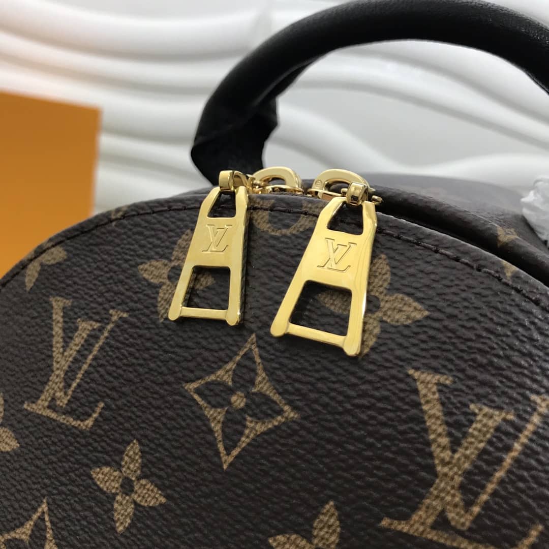 LV Backpack Replica Palm Springs PM Monogram Reverse M44870