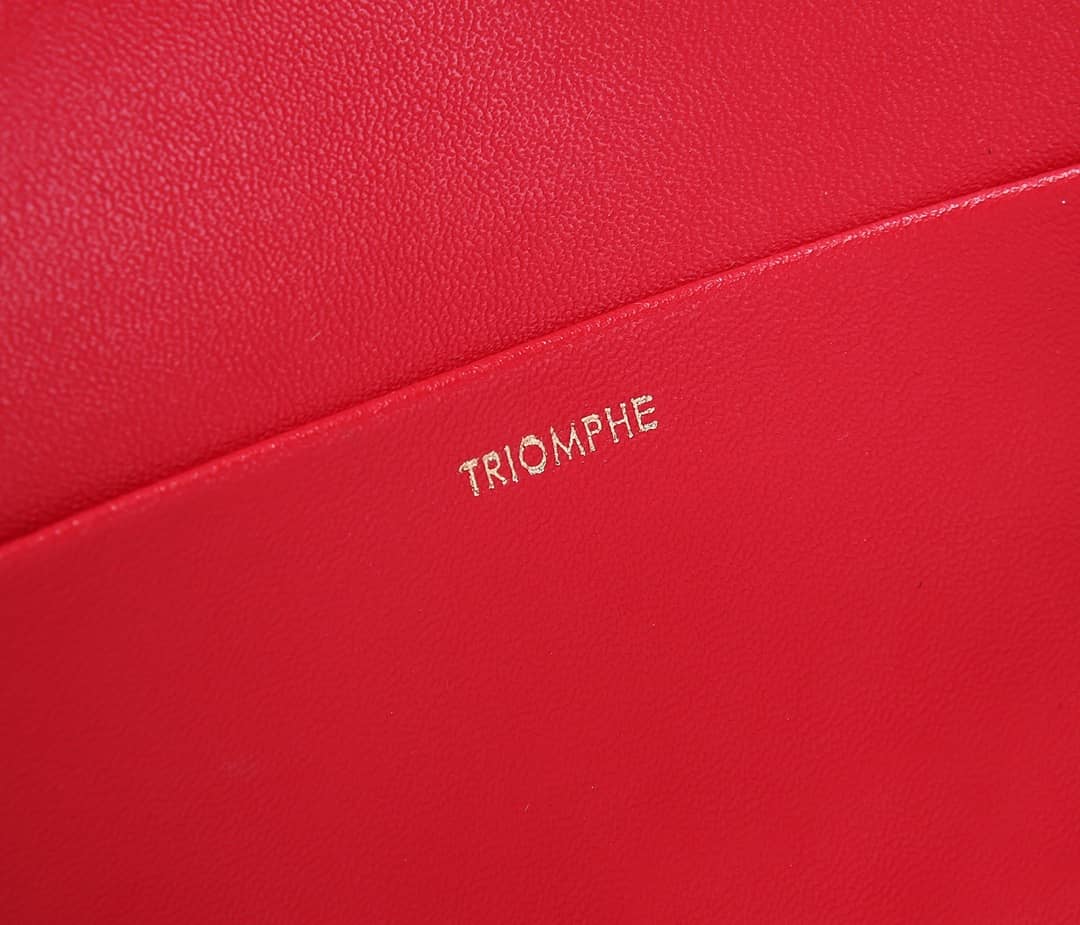 Ce1i*e Bag Dupe Triomphe Micro Luggage Replica Bag