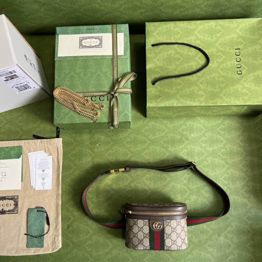 Gvc*1 Ophidia With Web 699765 Replica Belt Bag