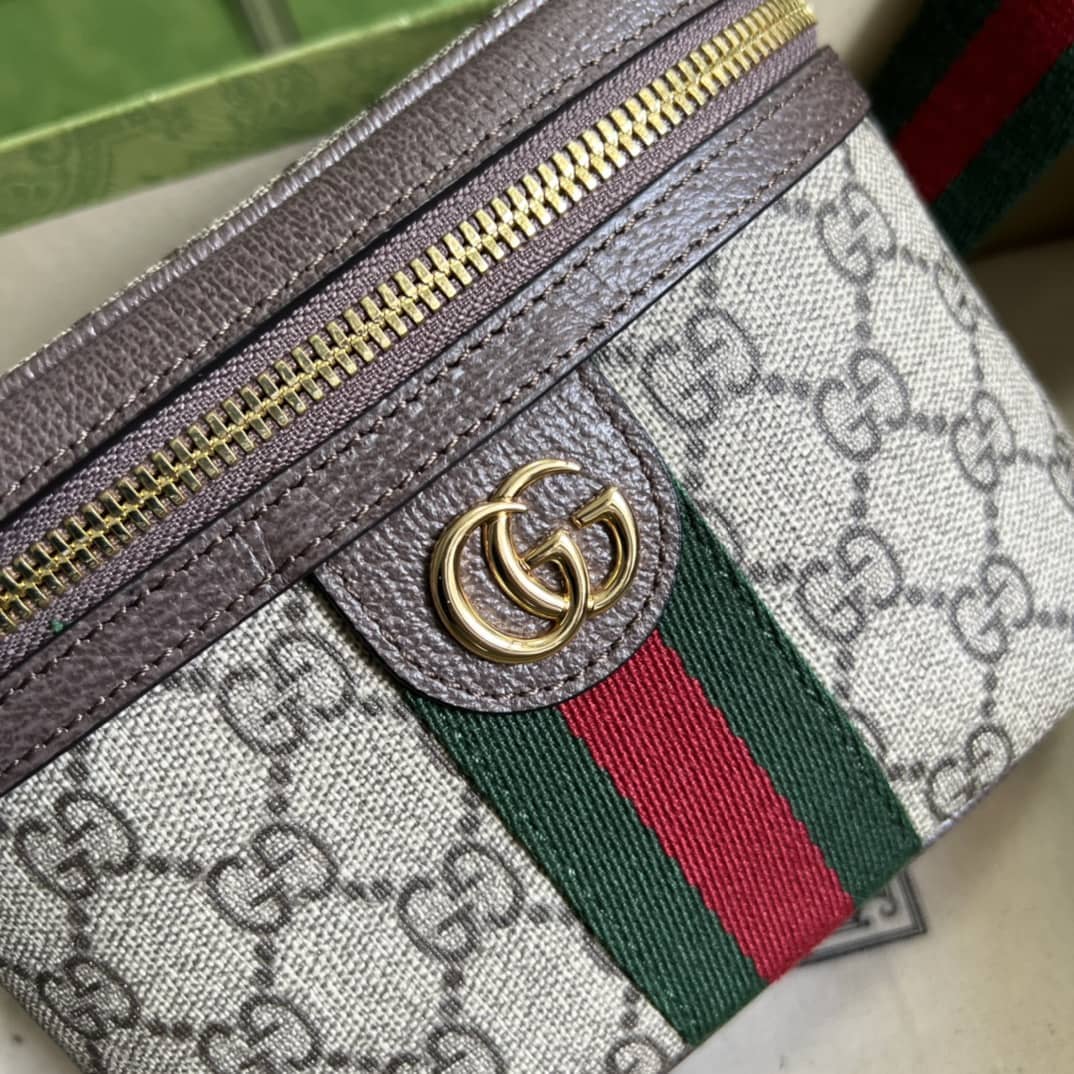 Gvc*1 Ophidia With Web 699765 Replica Belt Bag