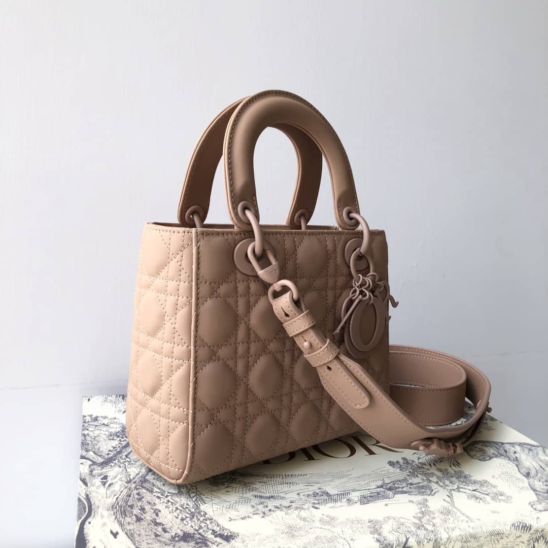 Chr1st1an D10r Lady D10r 20CM Replica Bag