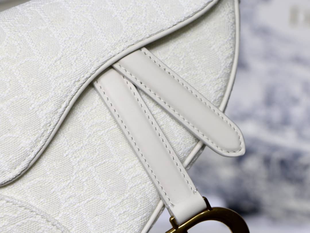 D10r Dupe Saddle Bag