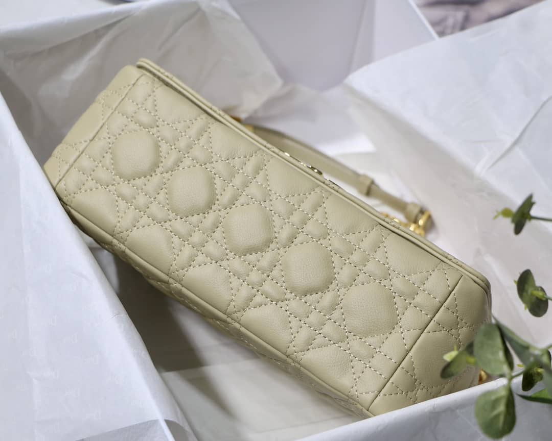 Chr1st1an D10r Caro Replica Bag