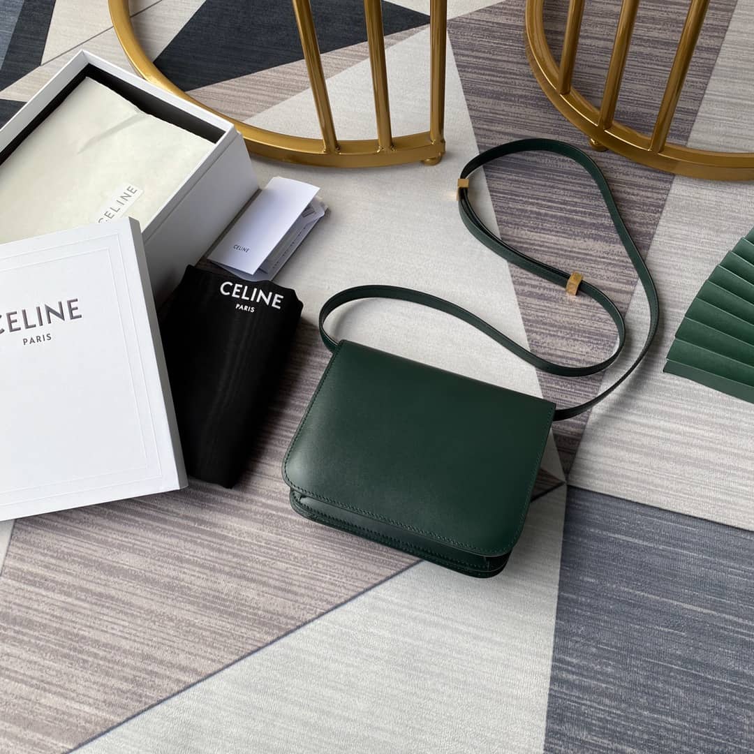 Ce1i*e Bag Dupe Triomphe Teen 18.5CM