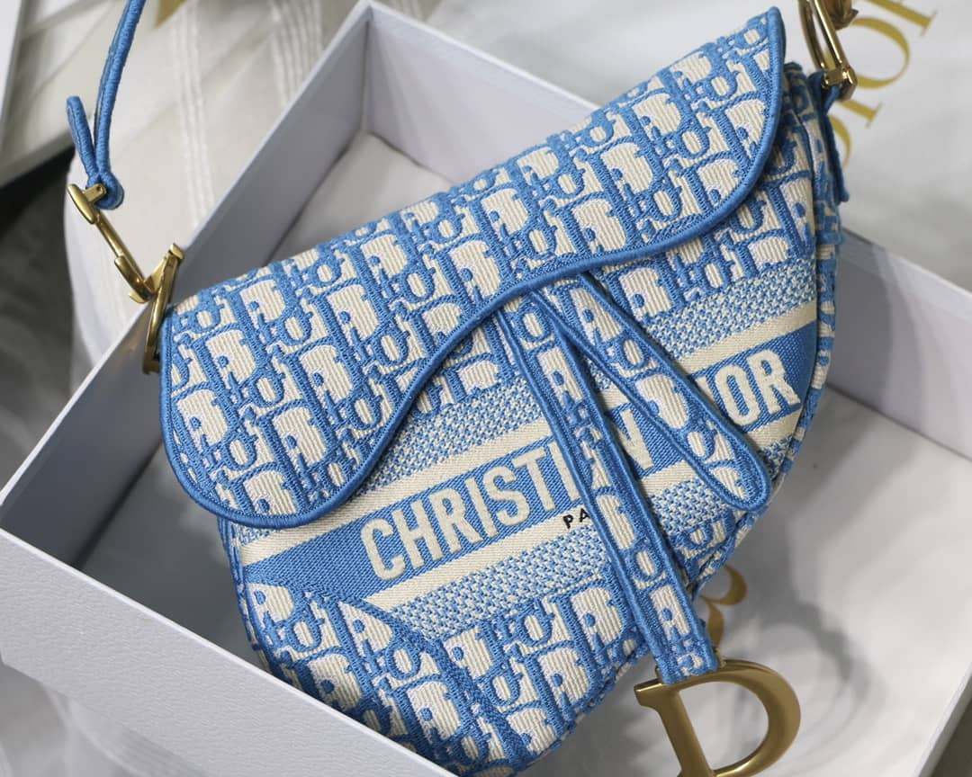 Chr1st1an D10r Saddle 25.5CM Replica Bag