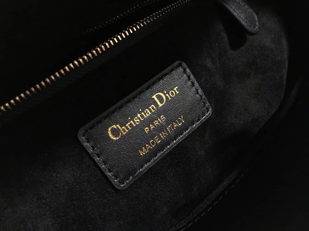 Chr1st1an D10r Lady D10r 24CM Replica Bag