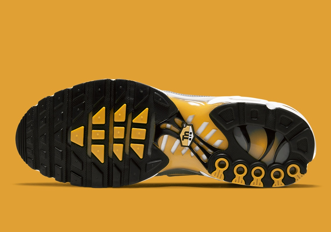 Air Max Plus Particle Grey Dark Sulphur DD7111-001