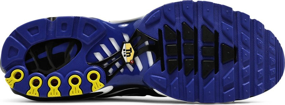 Air Max Plus Persian Violet DB0682-100