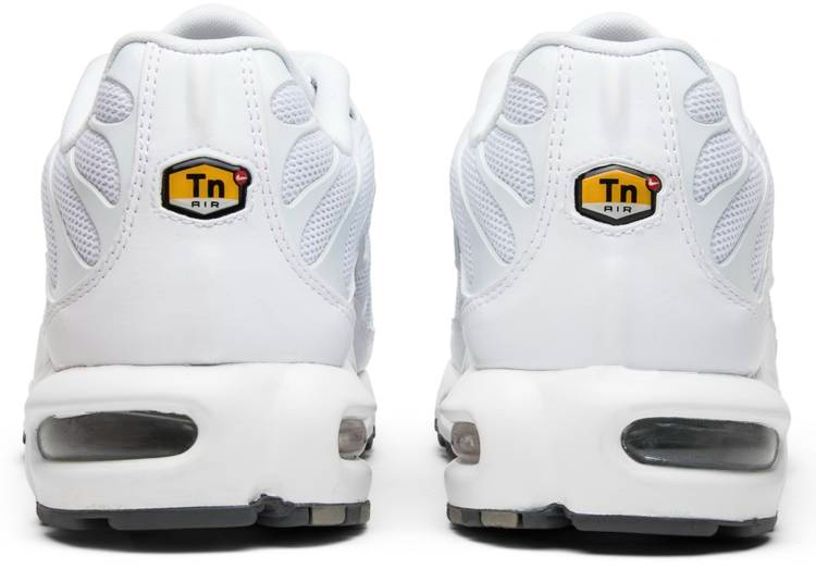 Air Max Plus White 604133-139