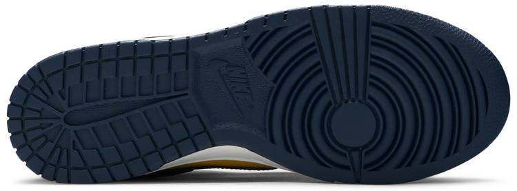 Dunk Low Michigan 2021 DD1391-700