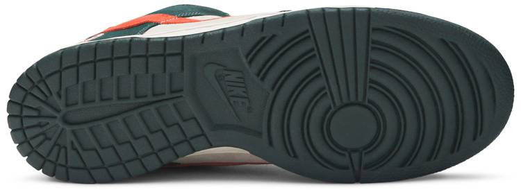 Dunk Low Pro SB Eire 304292-185