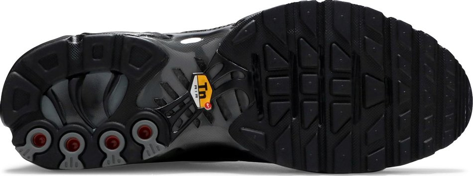 Air Max Plus Black DD9609-001