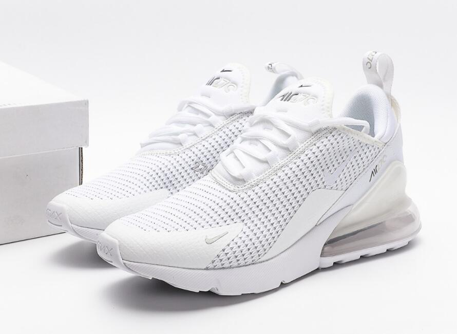 Air Max 270 Pure Platinum AQ9164-101