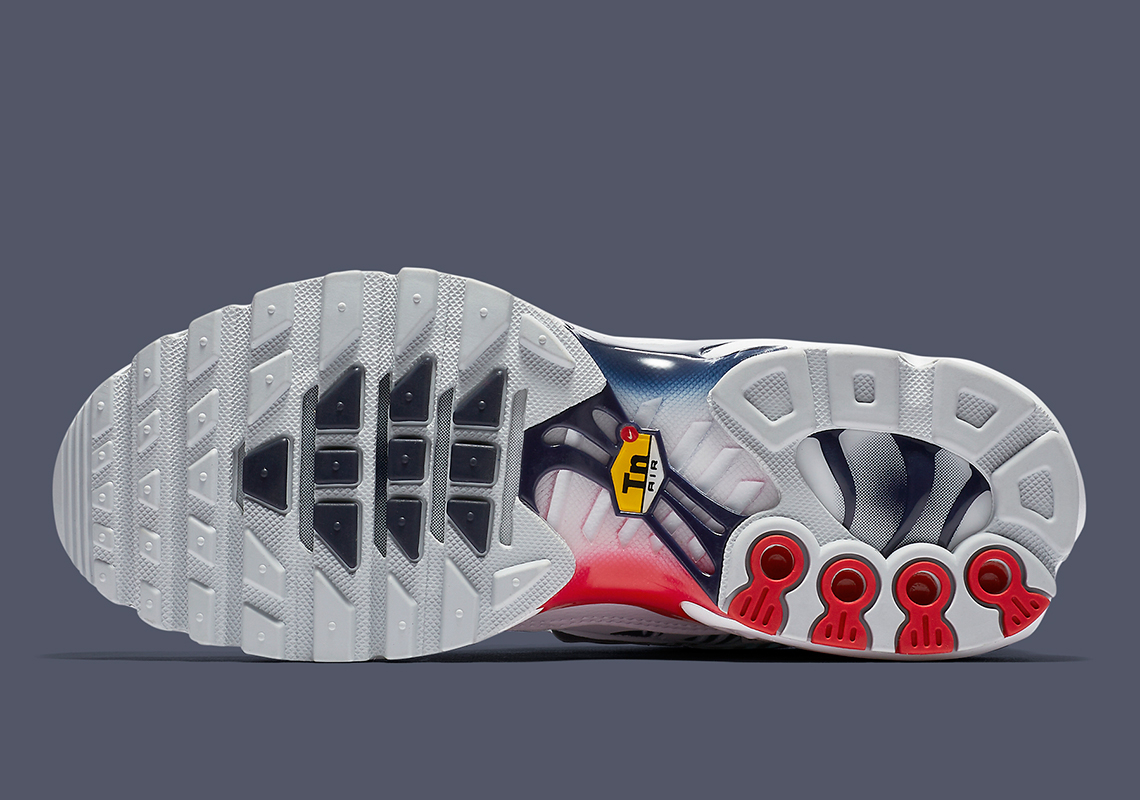 Air Max Plus Unite Totale CI9103-100