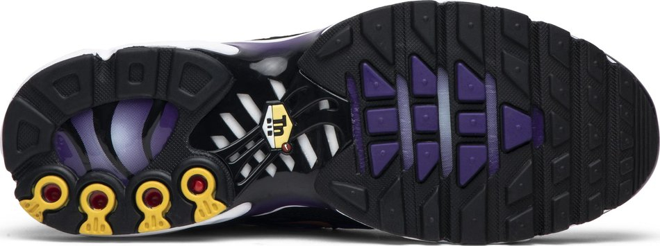 Air Max Plus Voltage Purple BQ4629-002