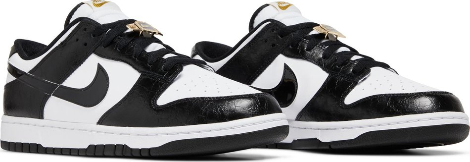 Dunk Low Retro SE World Champ DR9511-100