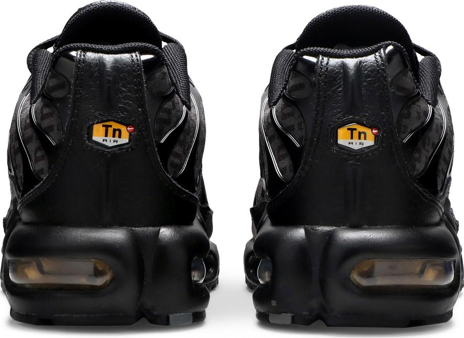 Air Max Plus Black DD9609-001