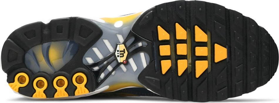 Air Max Plus Wave Grid BV1983-500