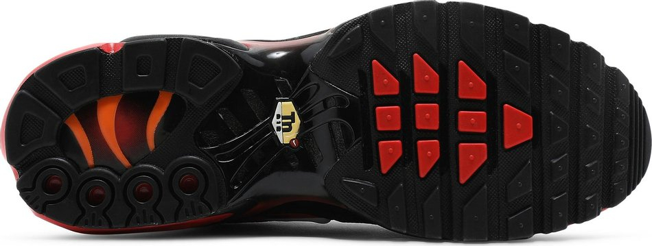 Air Max Plus Gradient CZ9270-001