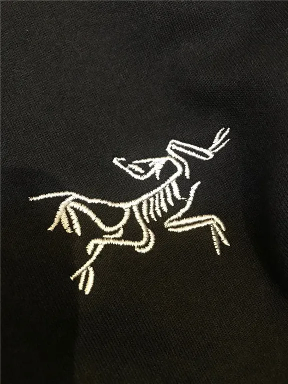 Arcteryx Jacket