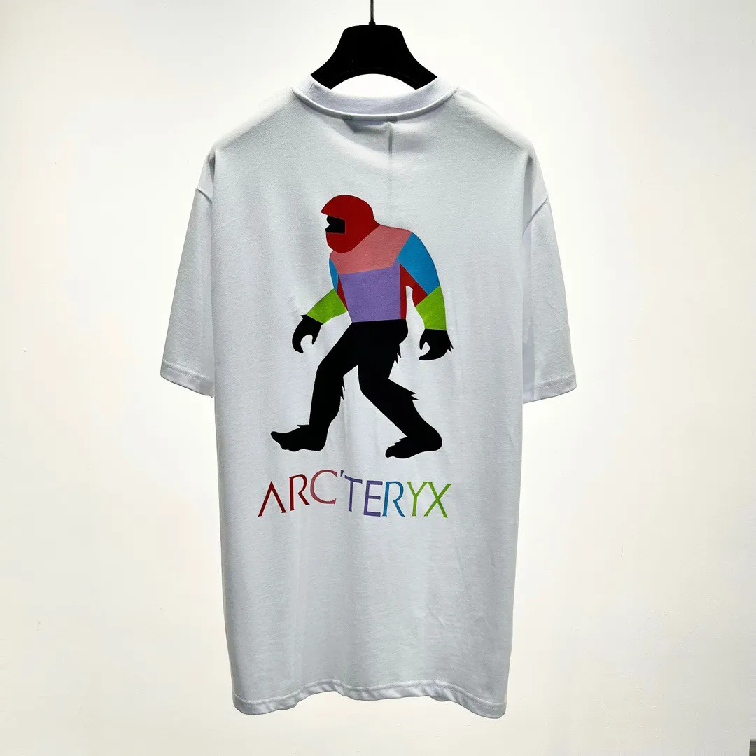 Arcteryx T Shirt