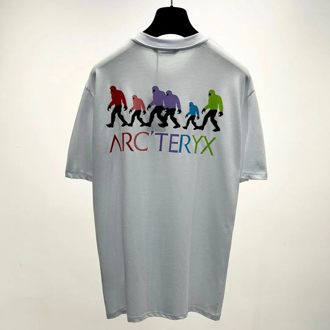 Arcteryx T Shirt