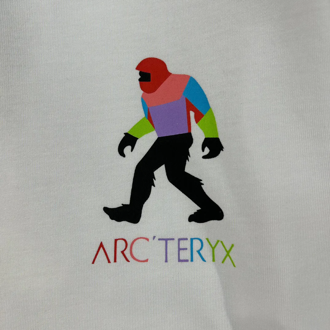 Arcteryx T Shirt