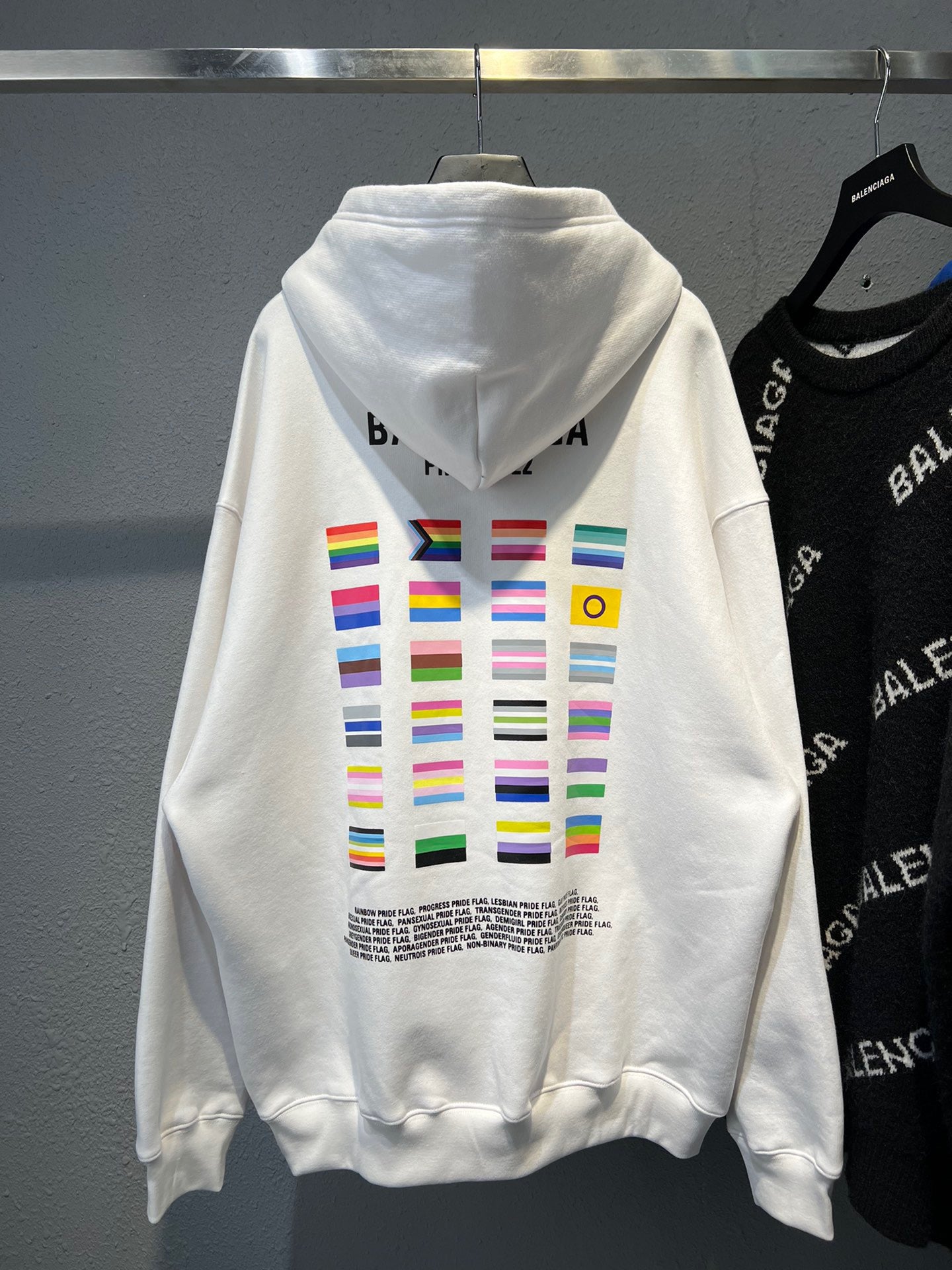Ba1en*iaga Hoodie