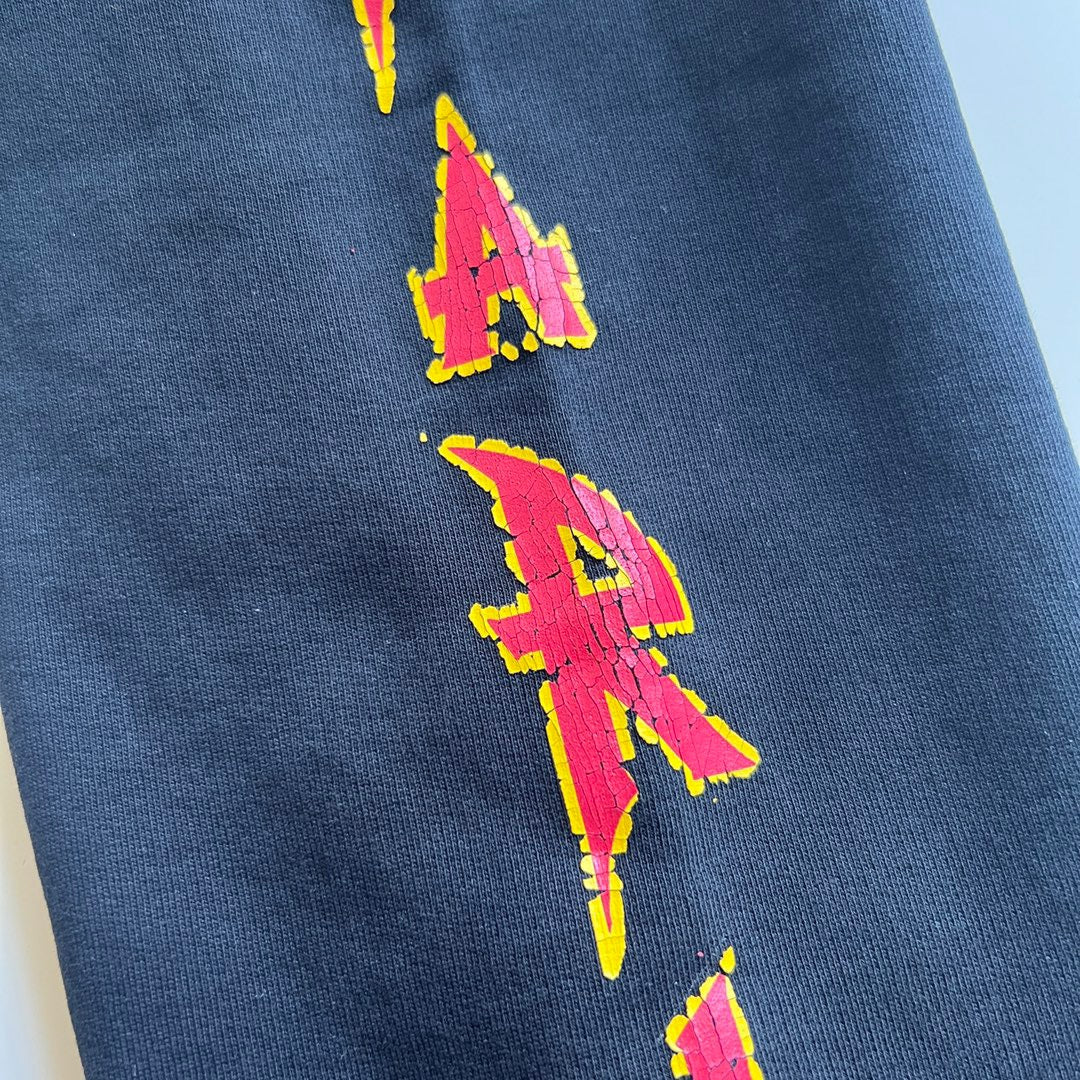 Ba1en*iaga Hoodie