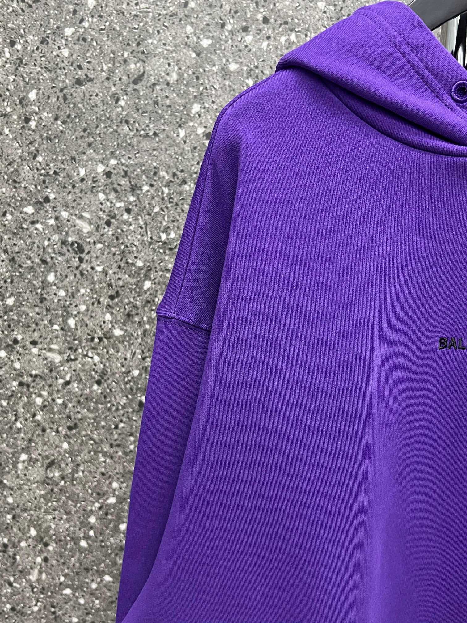 Ba1en*iaga Hoodie