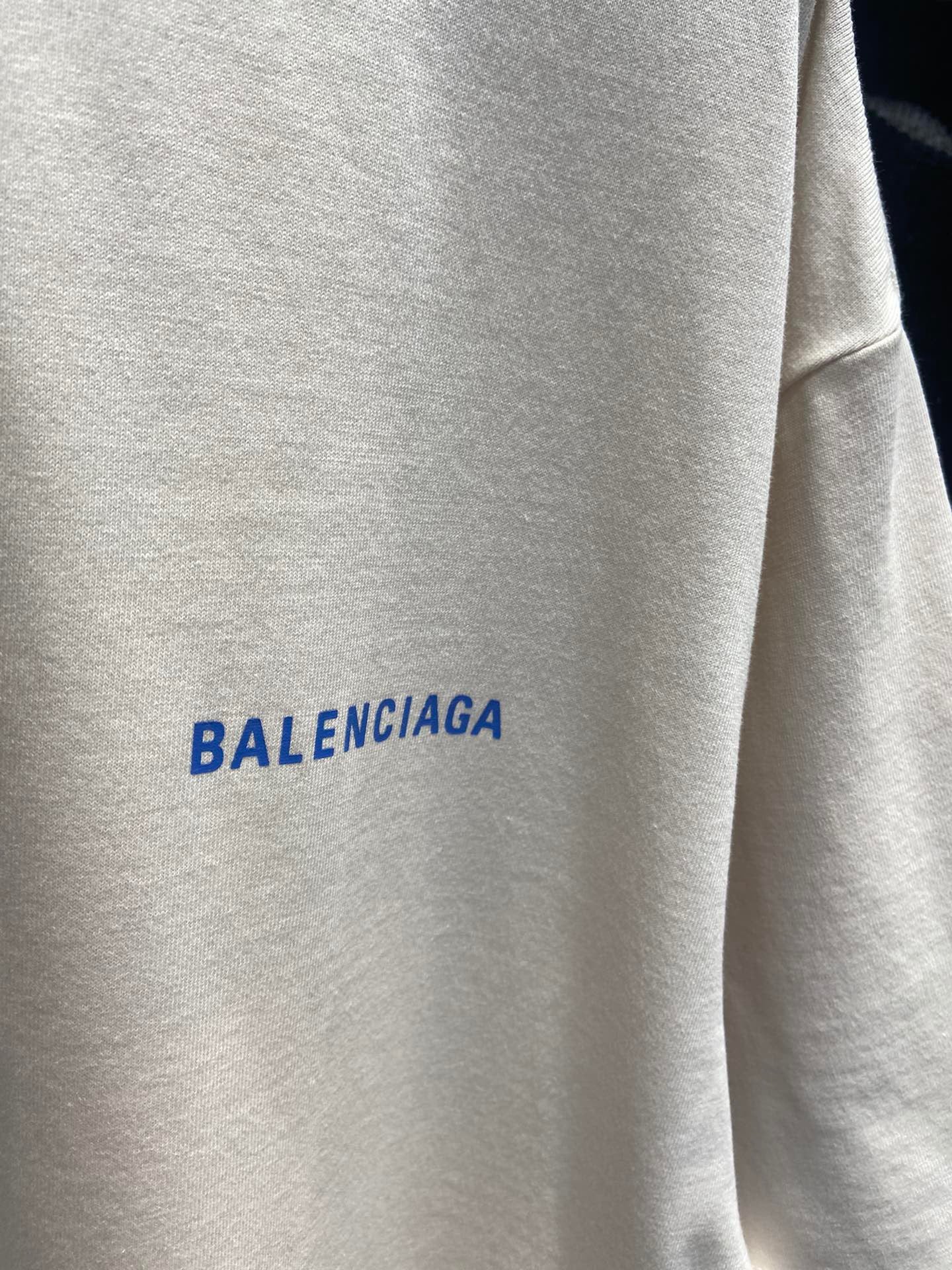 Ba1en*iaga T-shirt