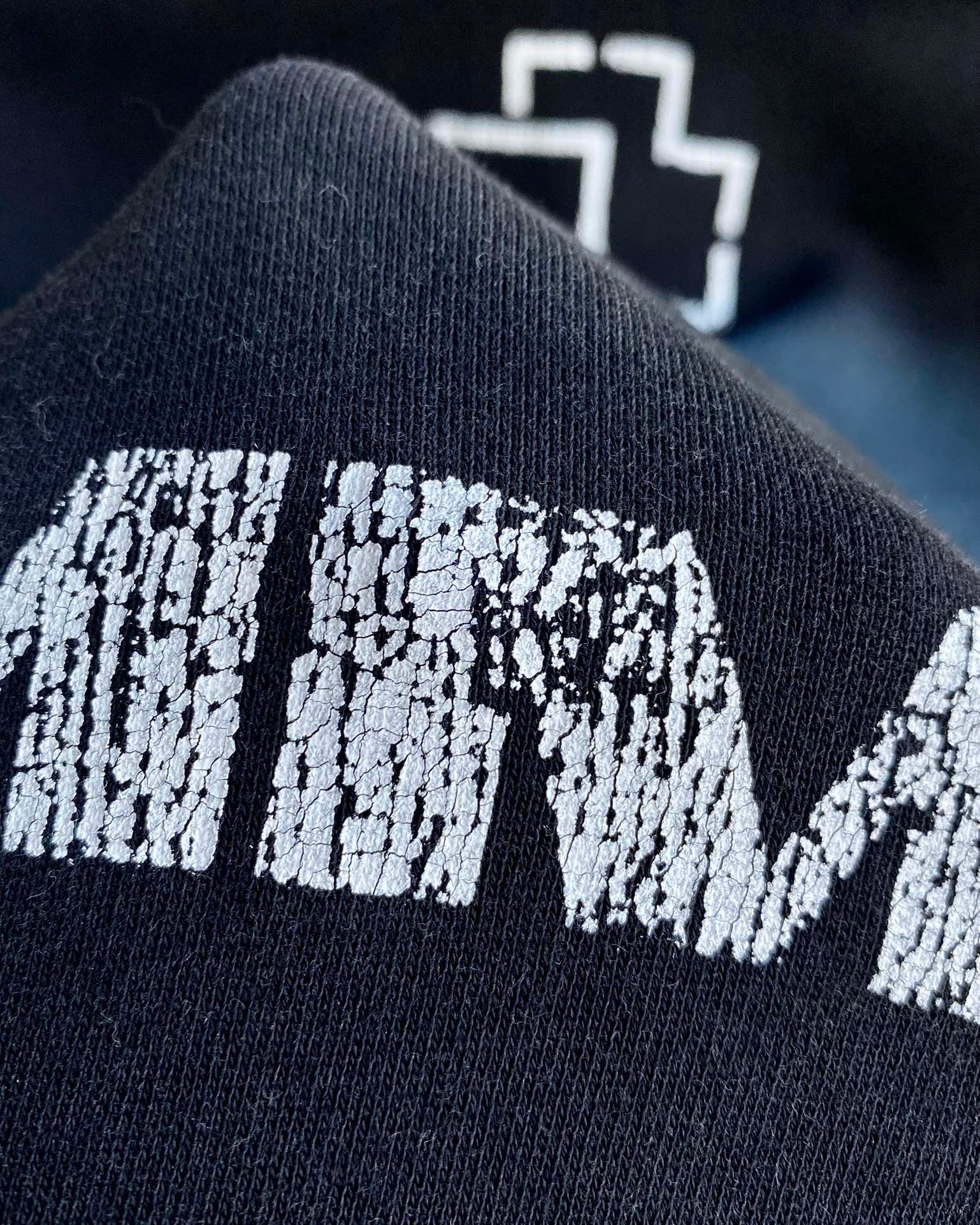 Ba1en*iaga Hoodie