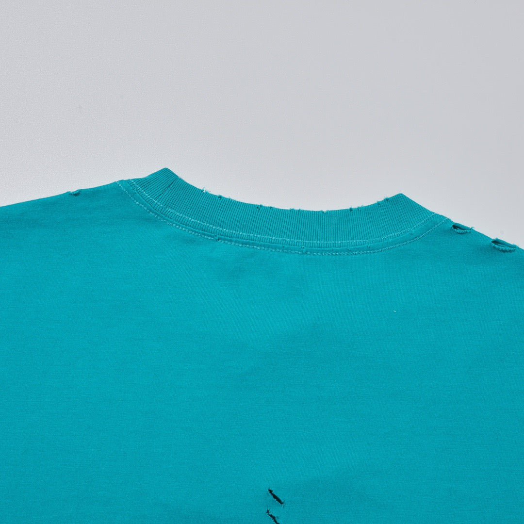 Ba1en*iaga T-shirt
