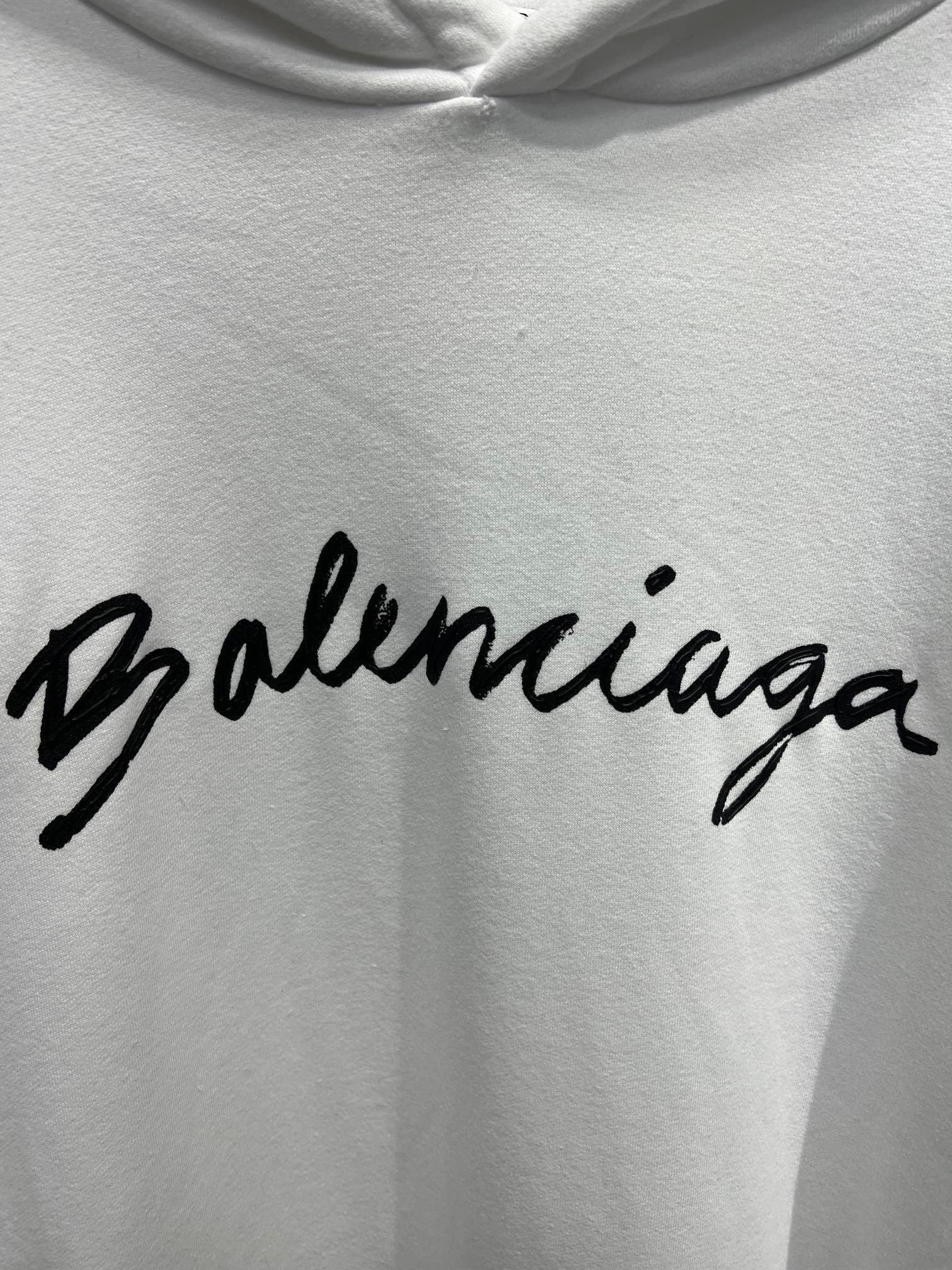 Ba1en*iaga Hoodie