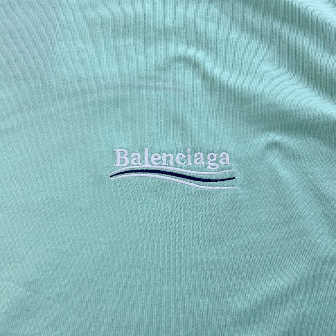 Ba1en*iaga T-shirt
