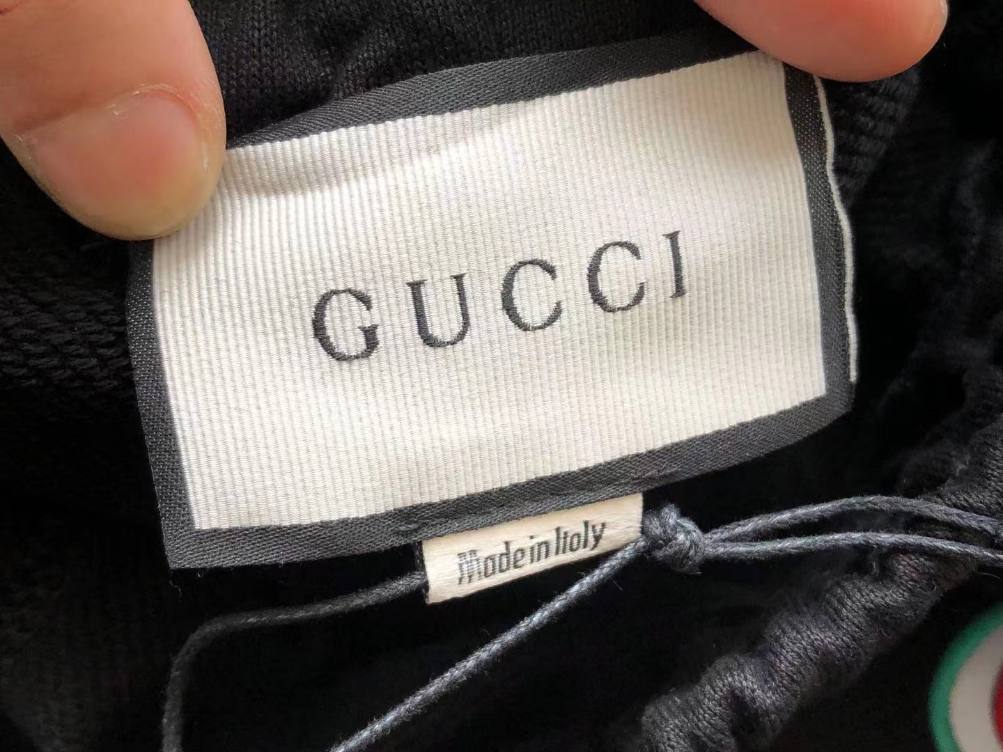 Gvc*1 Shorts