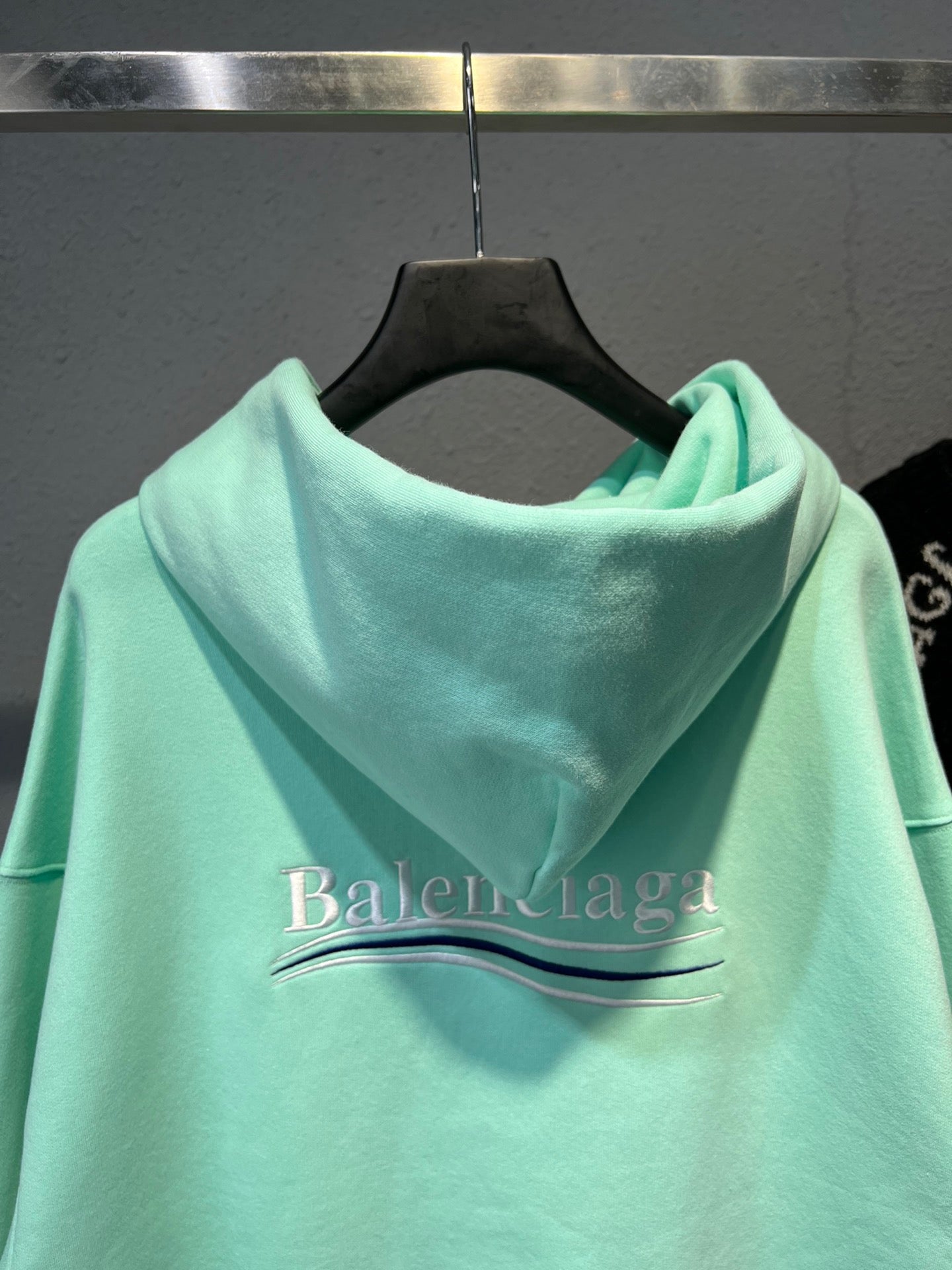Ba1en*iaga Hoodie