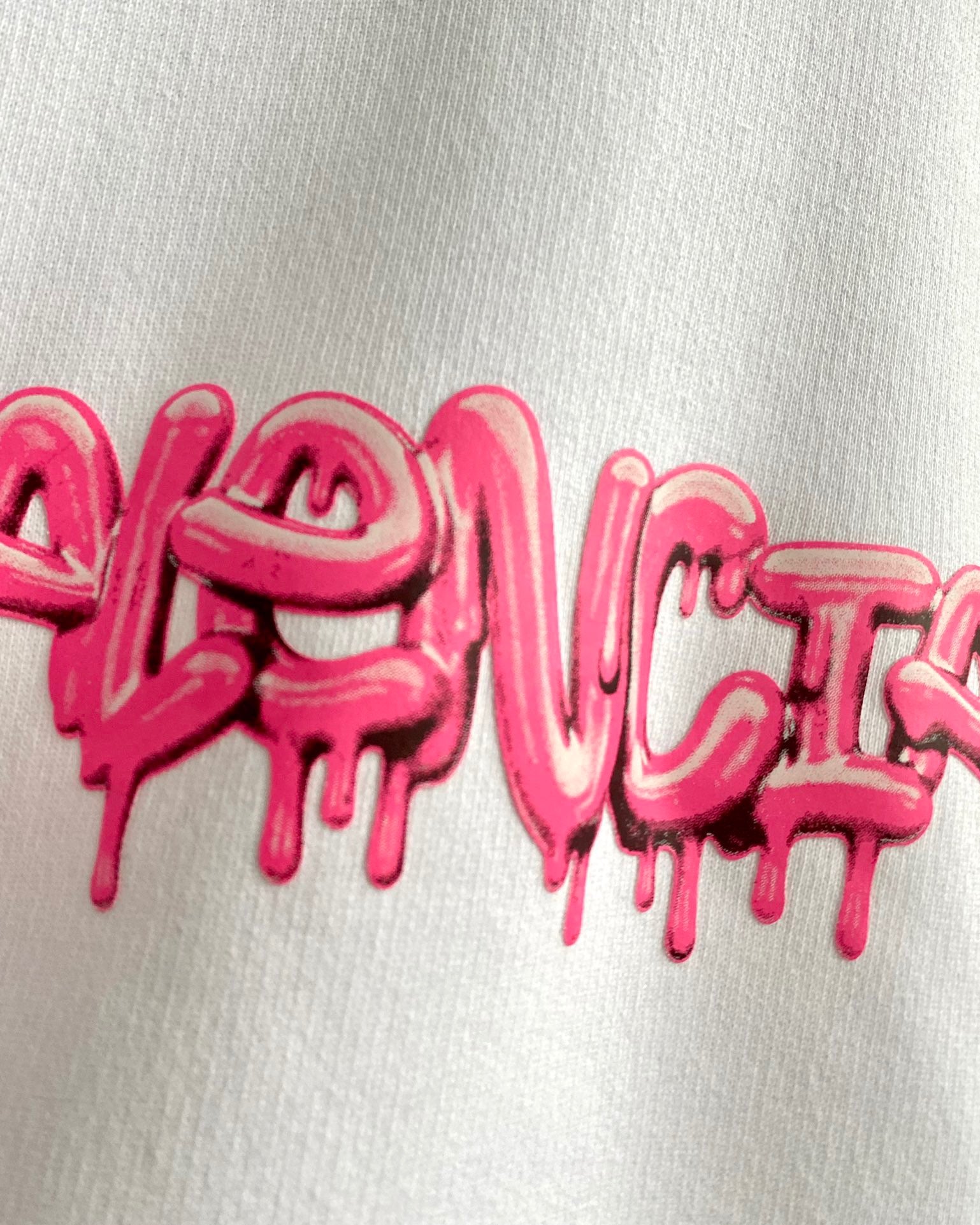 Ba1en*iaga Hoodie