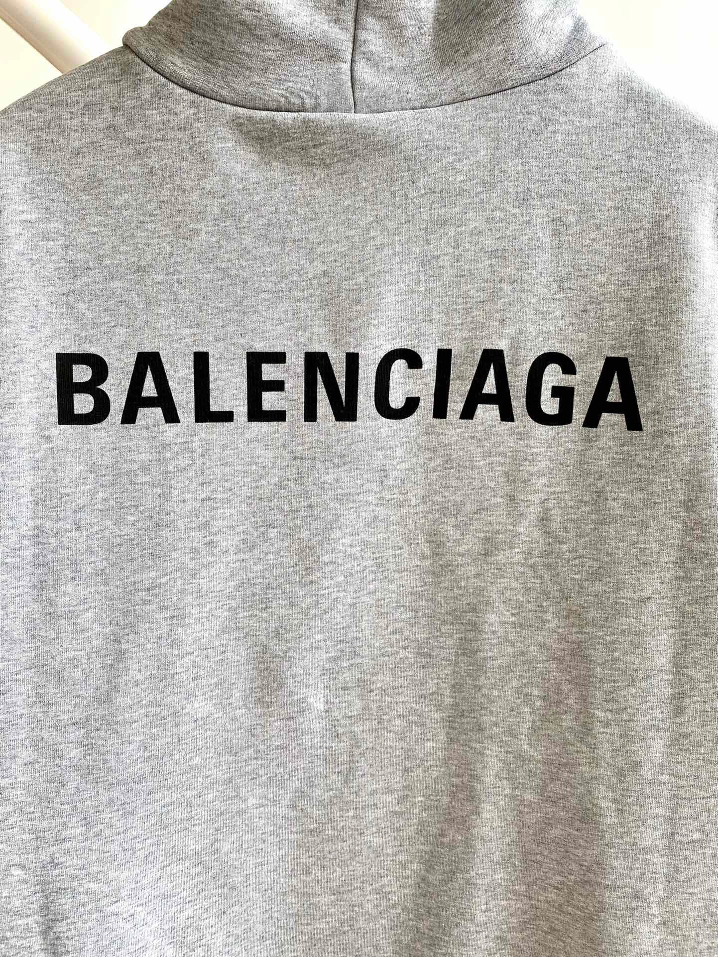 Ba1en*iaga Hoodie
