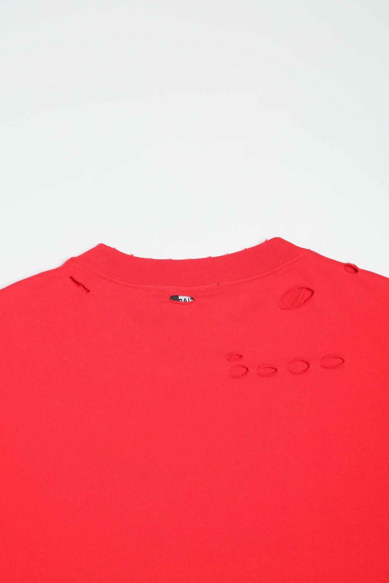 Ba1en*iaga T-shirt
