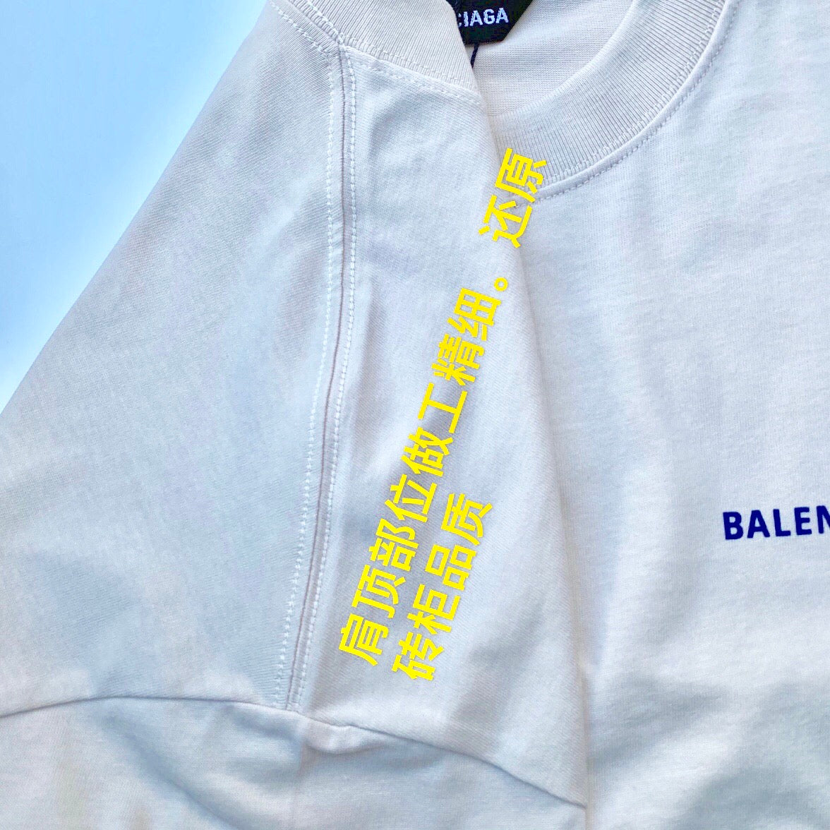 Ba1en*iaga T-shirt