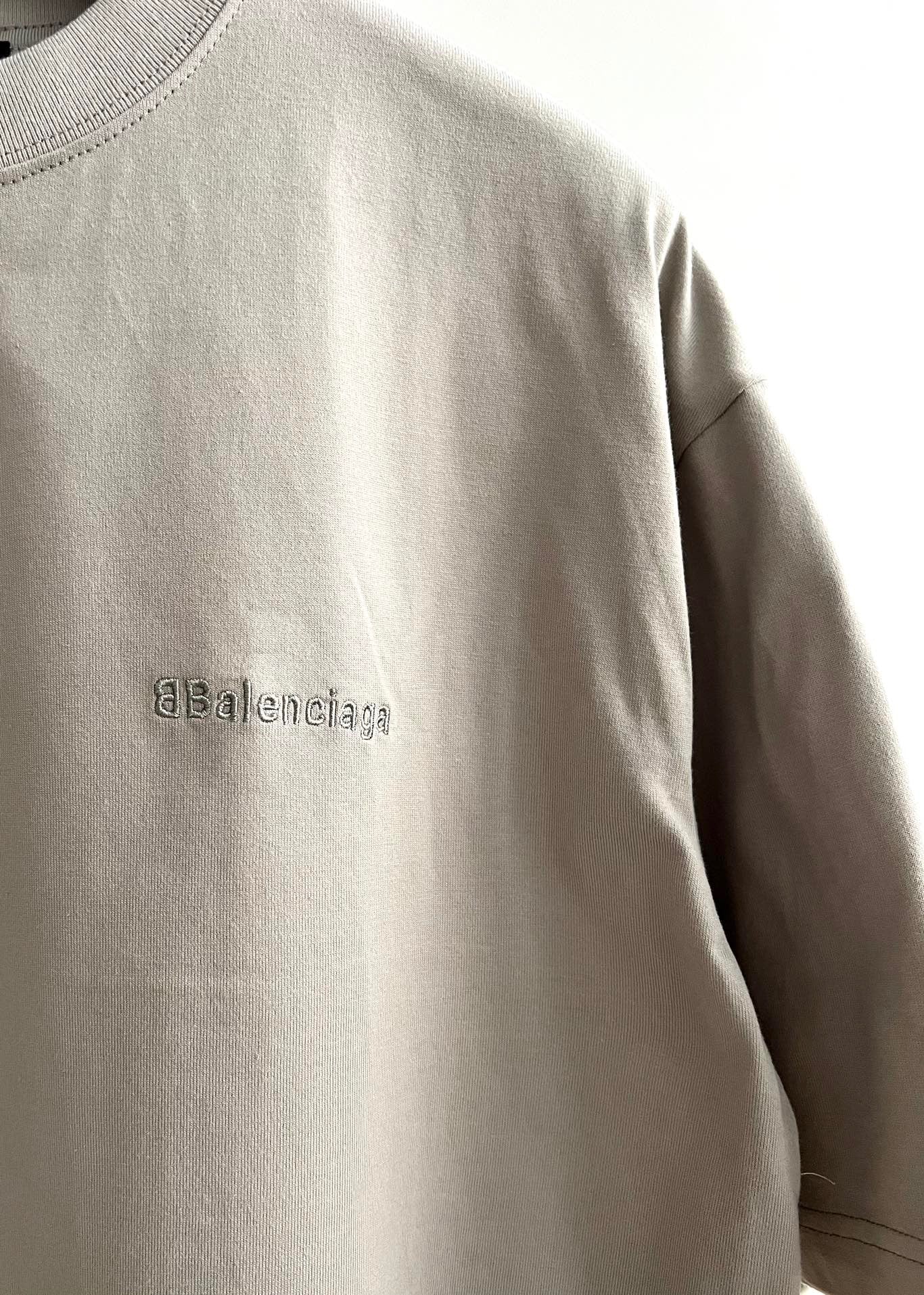 Ba1en*iaga T-shirt