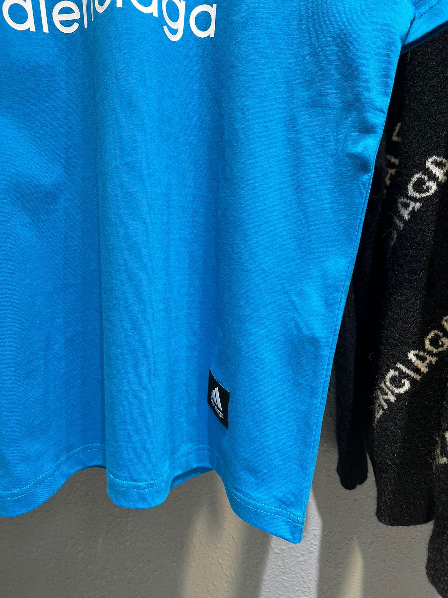 Ba1en*iaga T-shirt