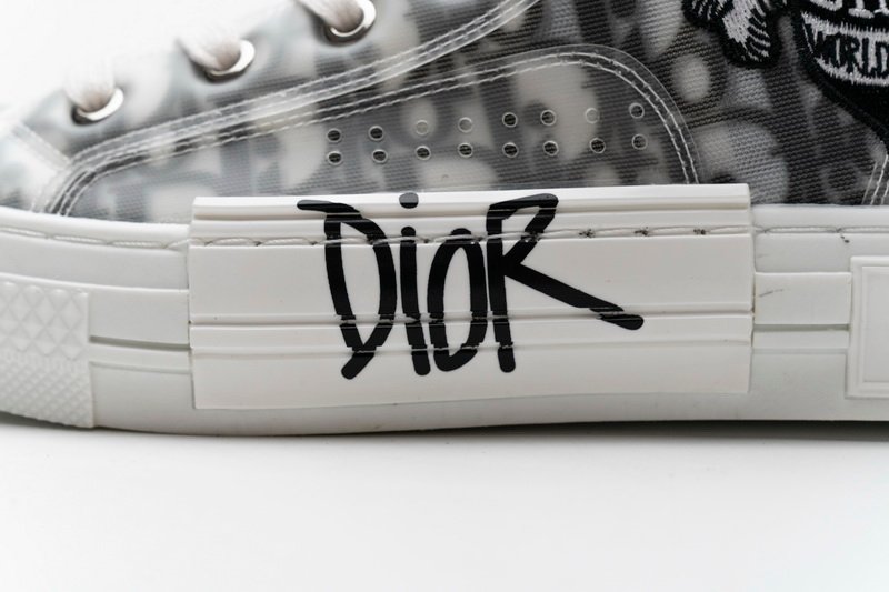 Converse Dupes D10r B23 Oblique Low Top Sneakers