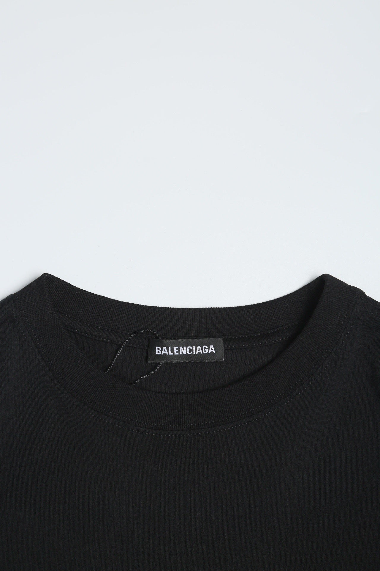 Ba1en*iaga T-shirt
