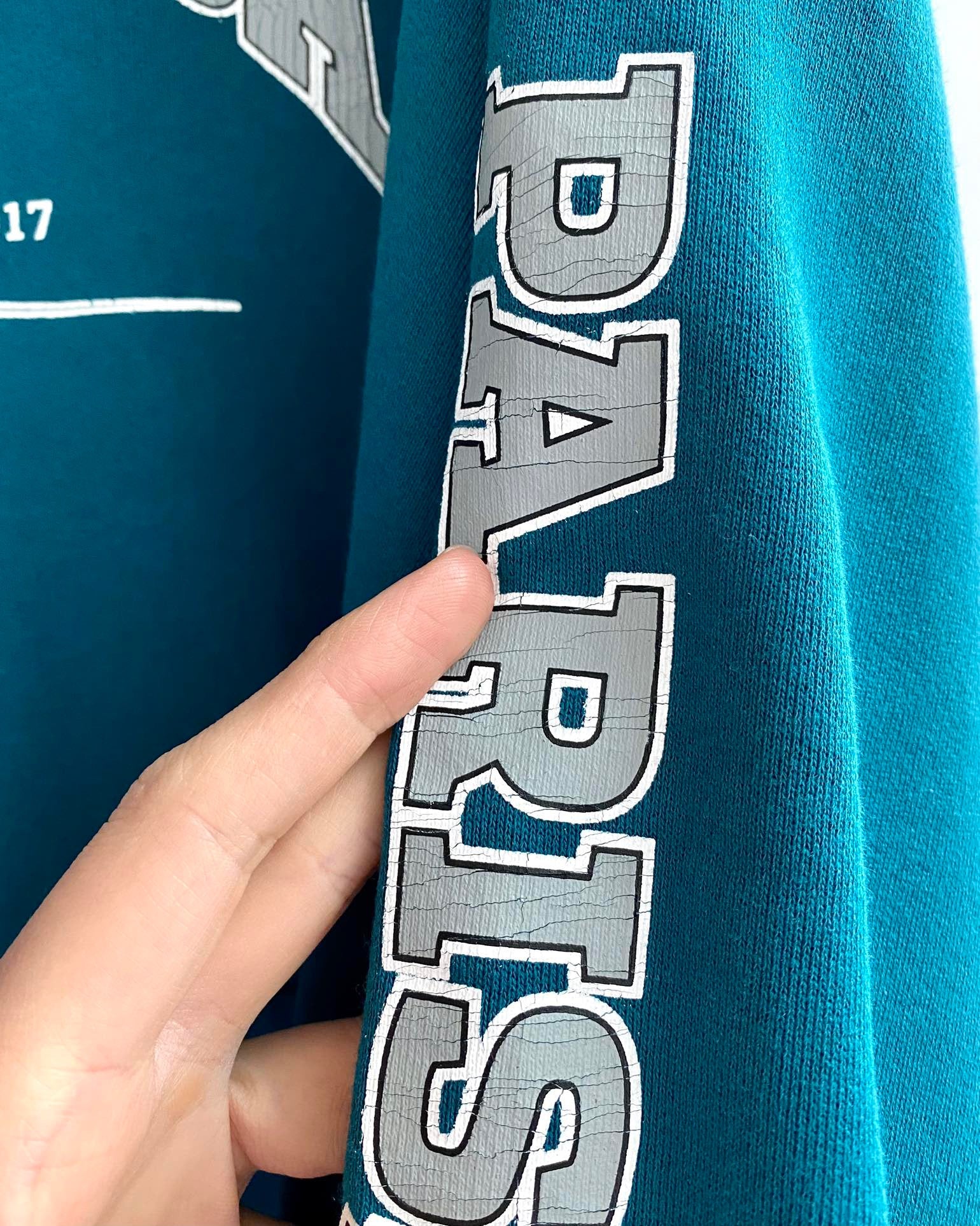 Ba1en*iaga Hoodie